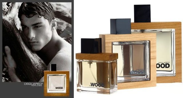 Dsquared2·HE WOOD香水·100ml