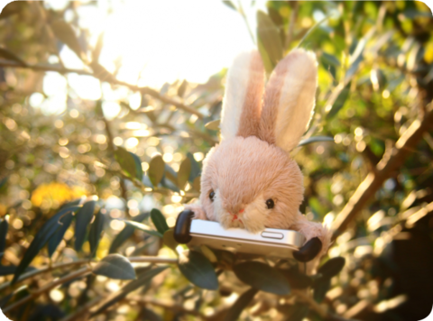 兔子动物毛绒手机壳*苹果